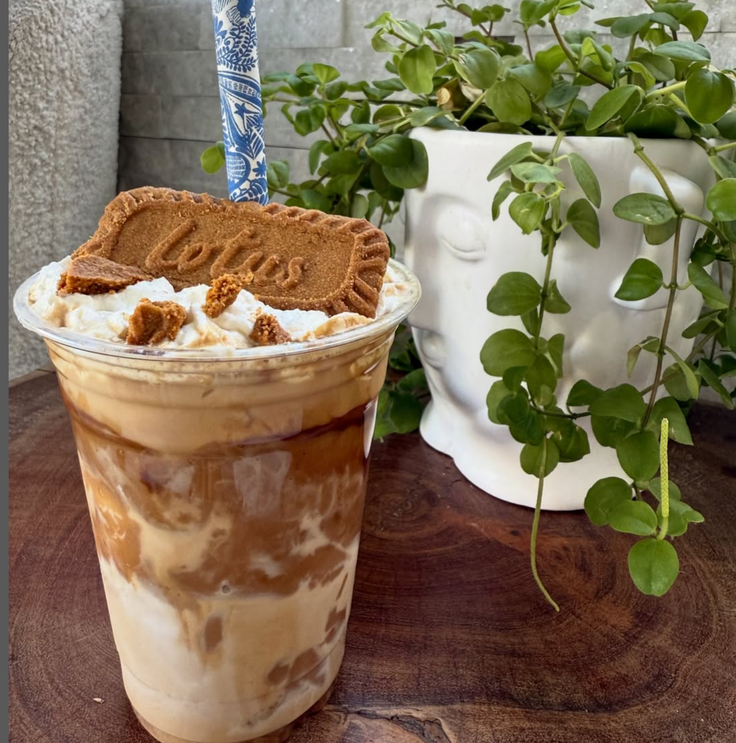Iced Biscoff